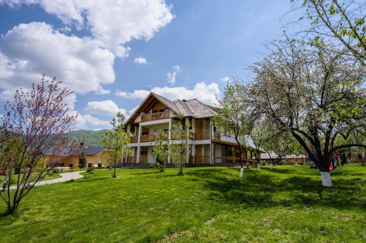 Pensiunea Coronita Hotel Vişeu de Sus Buitenkant foto